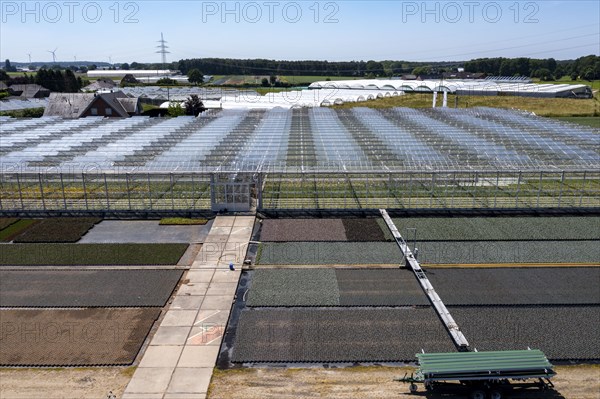 Horticultural business, irrigation with a sprinkler system, mobile on wheels in the open air,