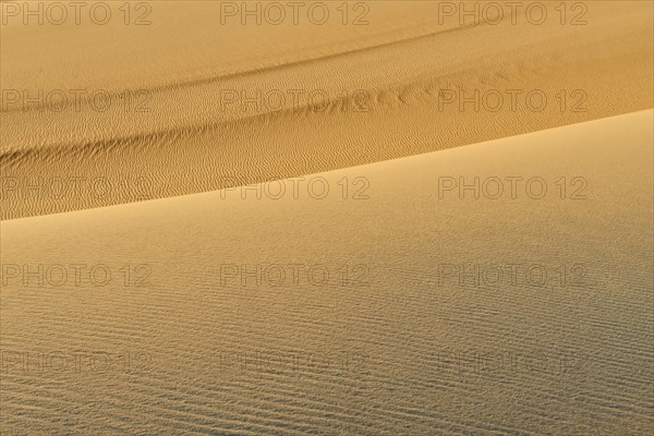 Wave-like sand dunes in a dry desert landscape in golden colours, Matruh, Great Sand Sea, Libyan