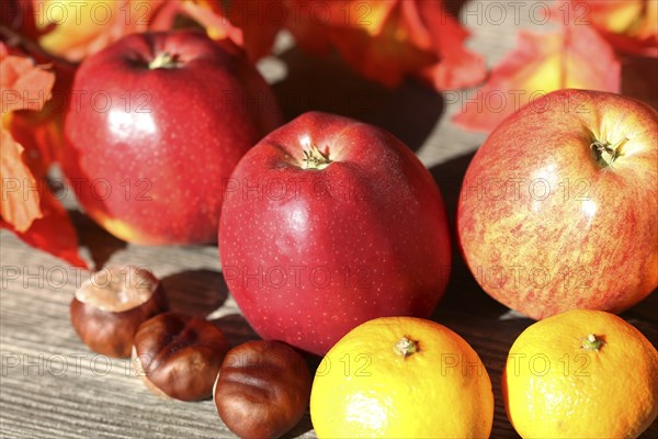 Apples and mandarins on a rustic wooden table as an autumnal motif