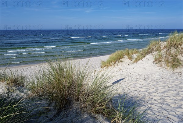 Dune landscape on the Polish Baltic coast in the Slowinski National Park, part of the UNESCO