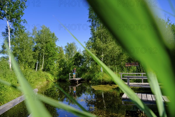 Moor adventure trail, nature conservation centre, Pfrunger-Burgweiler Ried nature reserve,