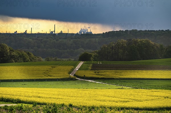 View over Mülheim an der Ruhr, Ickten, rape fields, over the Ruhr heights, to Duisburg-Hüttenheim,