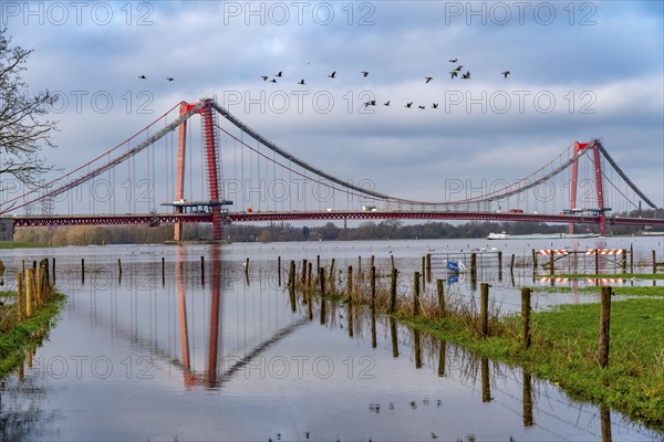 Flood on the Rhine, flooded Rhine meadows, fields, Rhine bridge Emmerich, road bridge of the B220,