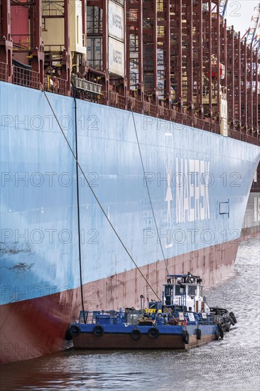 Magleby Maersk container freighter at EUROGATE Container Terminal, Waltershofer Hafen, disposal of