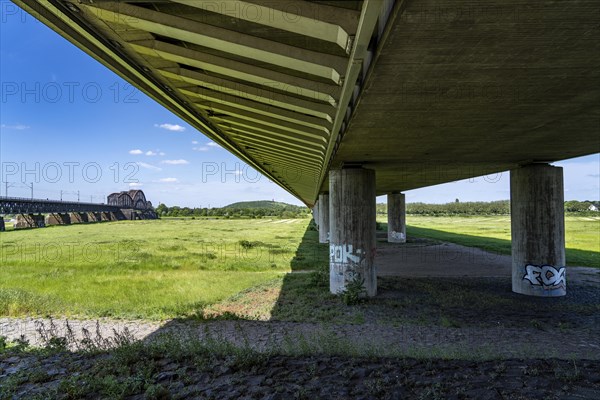 Under the motorway bridge between Duisburg-Baerl and Duisburg-Beeckerwerth, A42, over the Rhine,