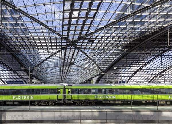 Central station, pillarless glass roof construction above the platforms, green train of the railway