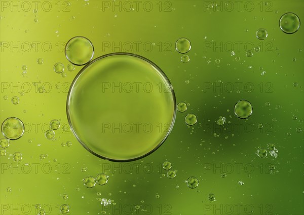 Colorful abstract macro background with oil drops in water