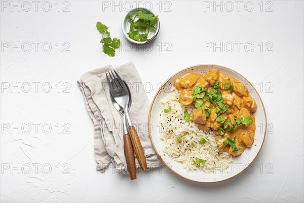 Traditional Indian dish chicken curry with basmati rice and fresh cilantro on rustic white plate on