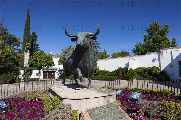 Monument of Bullfight, Ronda, Malaga, Andalusie, Spain, Europe