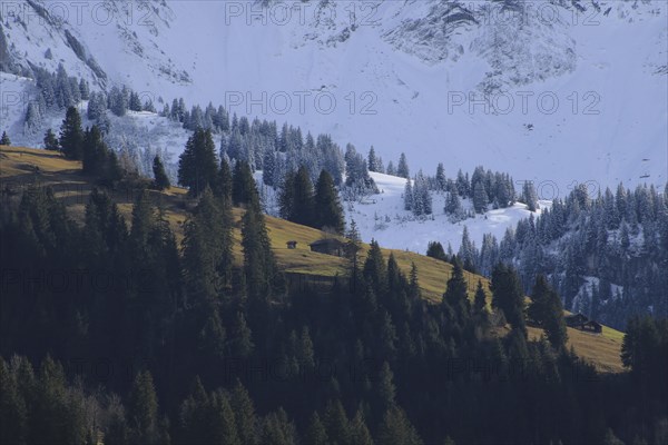 Two seasons at once
