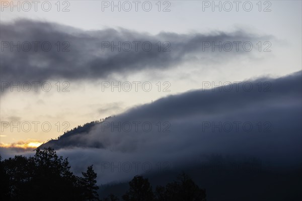 Autumn atmosphere, wafts of mist over a mountain range, Mugel mountain, Leoben, Styria, Austria,