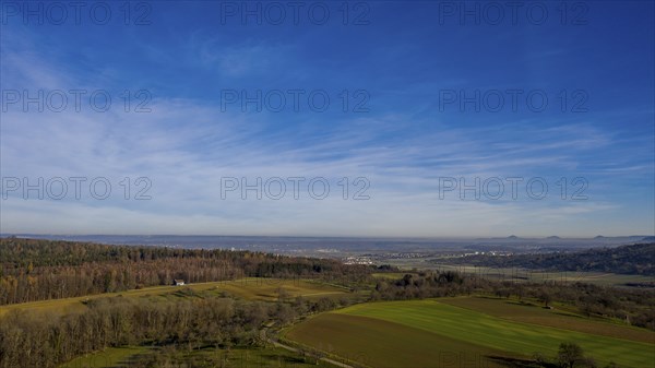 Fields