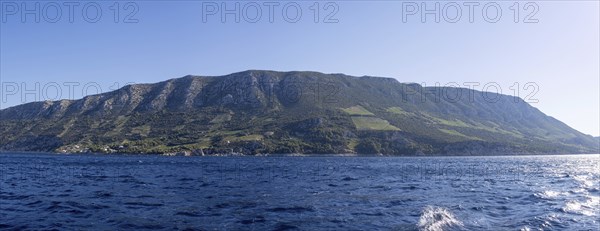 Vineyard on steep slopes by the sea, Peljesac peninsula, near Trstenik, Dalmatia, Croatia, Europe