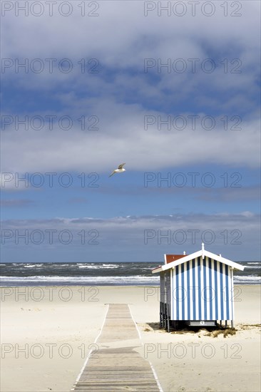 Lonely sandy beach with lifeguard tower, on the German North Sea coast