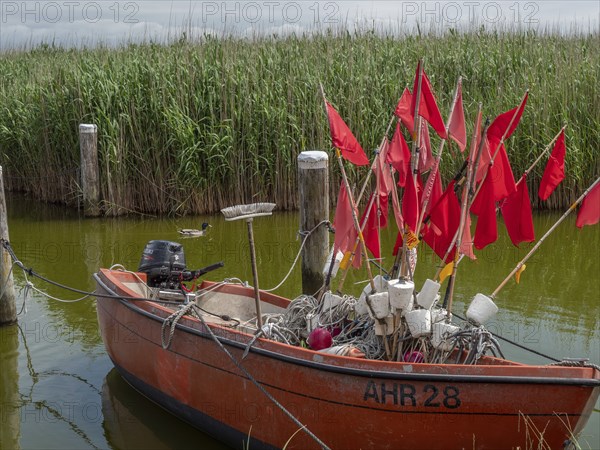 A fishing boat with red flags in the calm waters of the harbour, surrounded by reeds and wooden