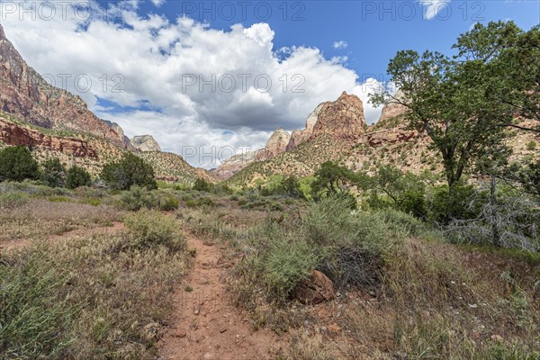 Hiking trail in a valley between the rugged mountains of Zion National Park, Utah