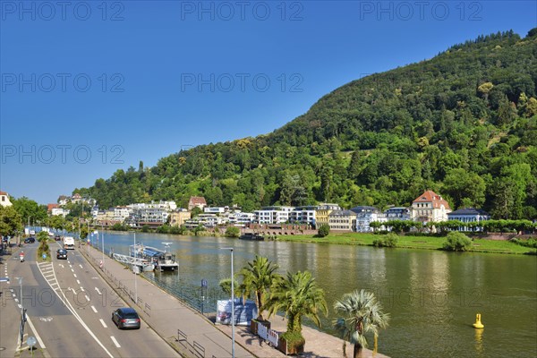 Heidelberg, Germany, June 28th 2024: View over lower Neckar river bank with street and residential