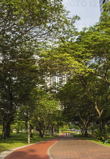City park with large trees and a brick walkway