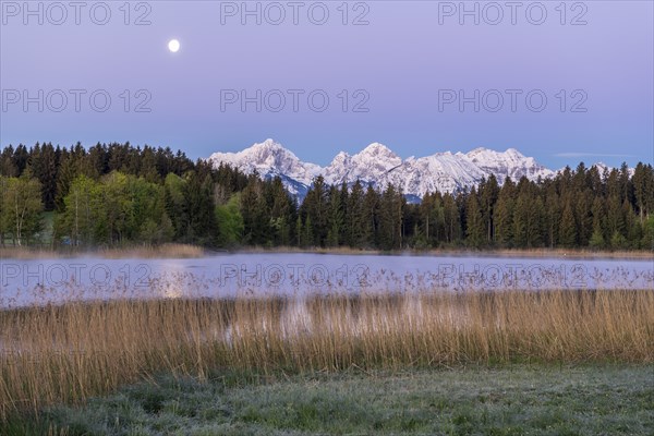 Hegratsrieder See near Füssen, Allgäu Alps, snow, moon, dawn, Allgäu, Bavaria, Germany, Europe