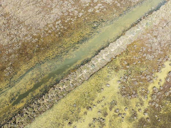 Detail of marshland near Sanlúcar de Barrameda. Aerial view. Drone shot. Cádiz province, Andalusia,
