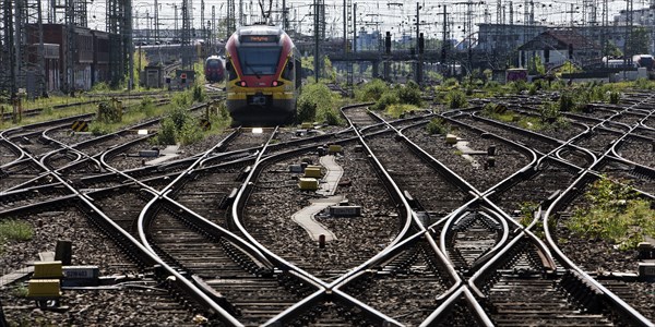 Track apron with rails, infrastructure and a local train at the main railway station, Frankfurt am