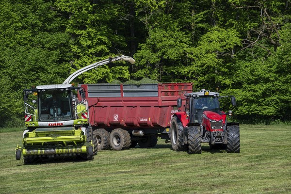 Tractor with trailer running beside Claas Jaguar 870 forage harvester, self-propelled silage