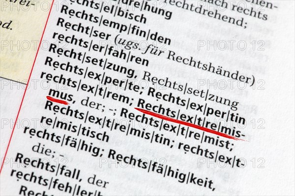 Symbolic image of right-wing extremism, excerpt from the dictionary