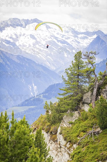 Paragliding over an impressive mountain landscape with snow-covered peaks and green fir trees,