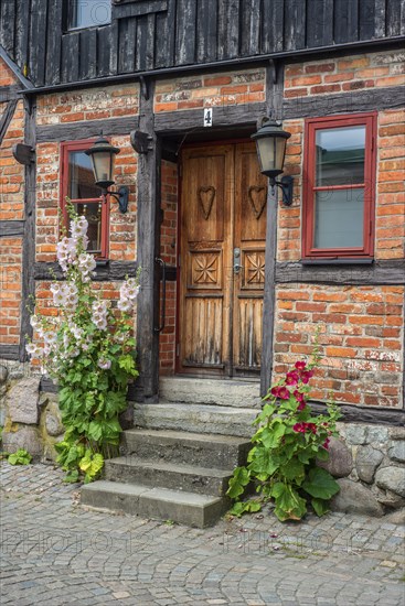 Hollyhocks (Alcea rosea) at a door tin a half-timbered house in a small street in the idyllic