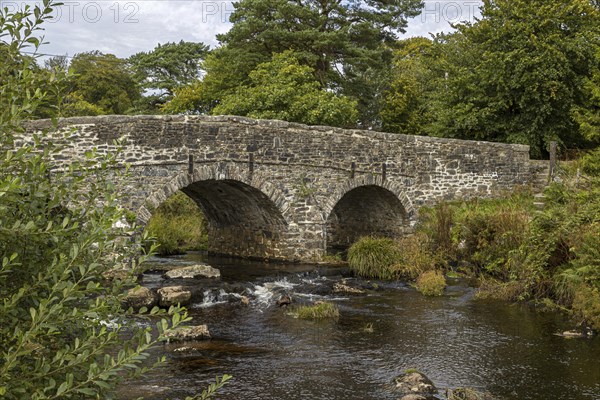 Two-arched stone bridge over a river, surrounded by trees and vegetation, in Dartmoor National Park