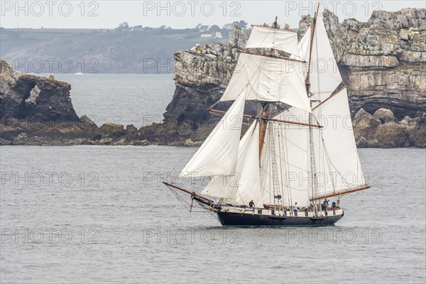 Large traditional sailing boat in a bay on the Atlantic during the Camaret sur mer sailing festival