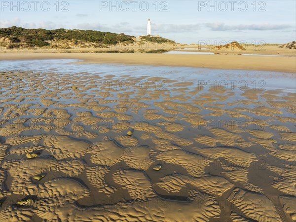 Cape Trafalgar at the Atlantic Ocean at low tide. Aerial view. Drone shot. Costa de la Luz, Cádiz