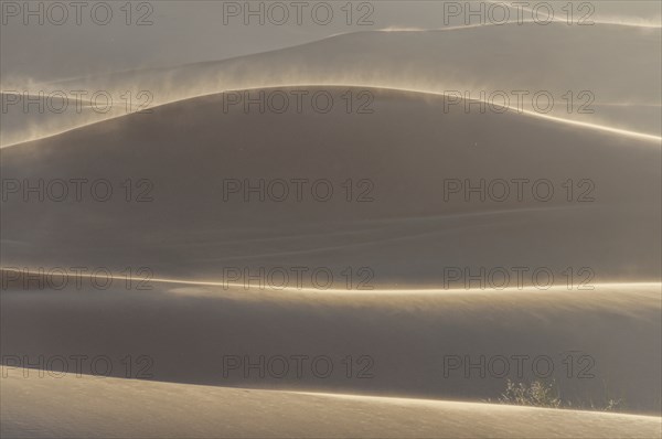 Sand dunes, Erg Chebbi, Sahara, Southern Morocco, Morocco, Africa