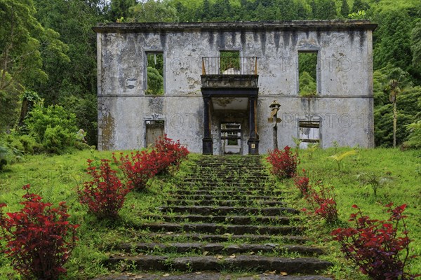 An abandoned ruined building in the middle of a wooded area, an overgrown stone staircase leads up,