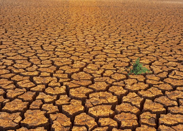 Symbolic image, water shortage, water emergency, global drought, climate crisis, climate change,