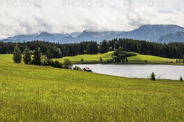 Attlesee, near Nesselwang, Oberallgäu, Allgäu, Swabia, Bavaria, Germany, Europe