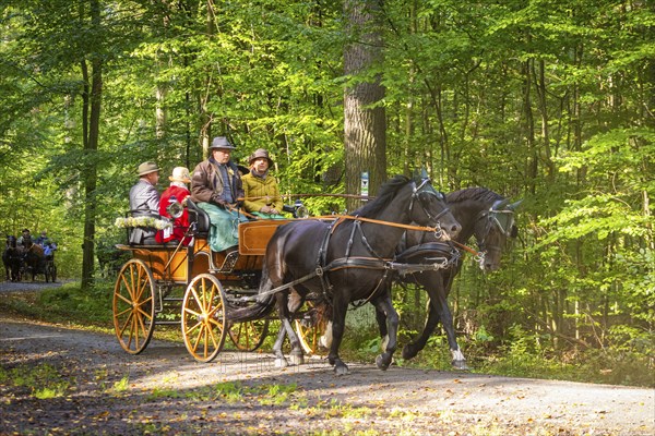 Presentation and route ride, all carriages in stylish tension, popular sporting event over approx.