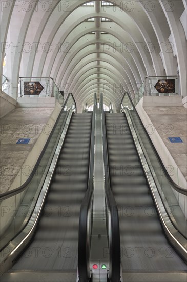 Liège-Guillemins railway station, architect Santiago Calatrava, escalator in motion with curved