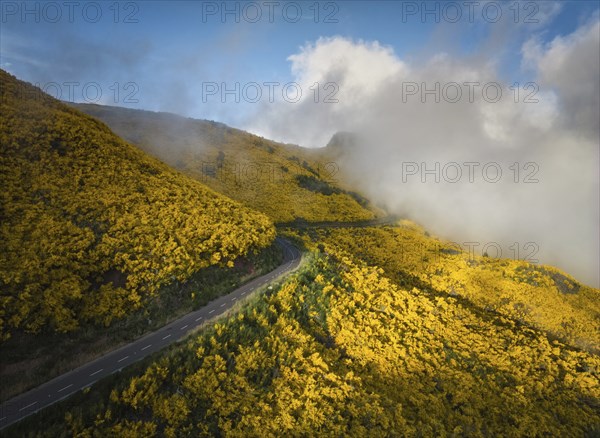 Aerial view of road among yellow Cytisus blooming shrubs near Pico do Arieiro, Portugal in clouds