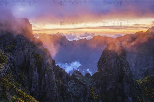 Mountains on sunset covered in fog and clouds with blooming Cytisus shrubs. Near Pico de Arieiro,