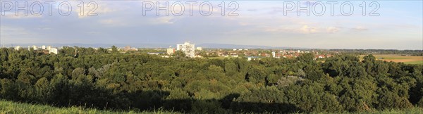 View from Michaelsberg in Maudacher Bruch, Ludwigshafen