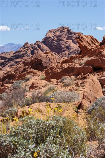 Rock formations along the Fire Canyon Overlook Trail at Valley of Fire State Park near Overton,