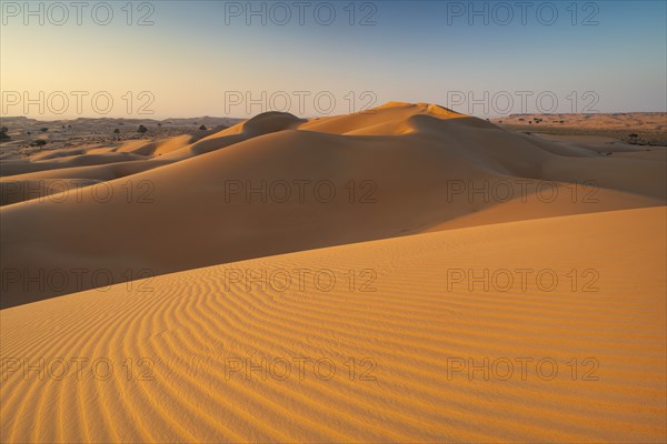 Sand dunes in the desert, near Duqm, Oman, Asia