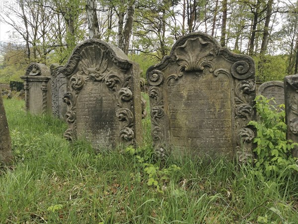 Levite graves at the Jewish cemetery, Jewish cemetery Burgkunstadt, one of the largest Jewish