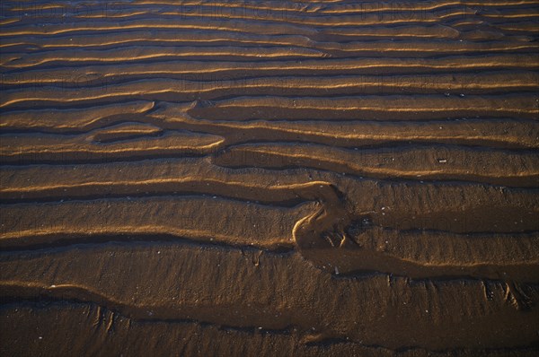Sand ripples, wavy lines in the sand, structure, sandy beach, Meia Praia beach, Lagos, Atlantic