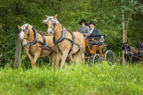 Presentation and route ride, all carriages in stylish tension, popular sporting event over approx.