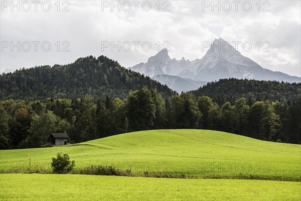 Watzmann, Berchtesgarden Alps, Berchtesgaden, Berchtesgadener Land, Upper Bavaria, Bavaria,