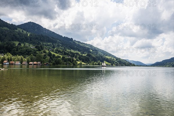 Bühl, Großer Alpsee, Immenstadt, Oberallgäu, Allgäu, Swabia, Bavaria, Germany, Europe