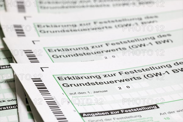 Declaration for the determination of the property tax value, property tax, tax return, tax office,