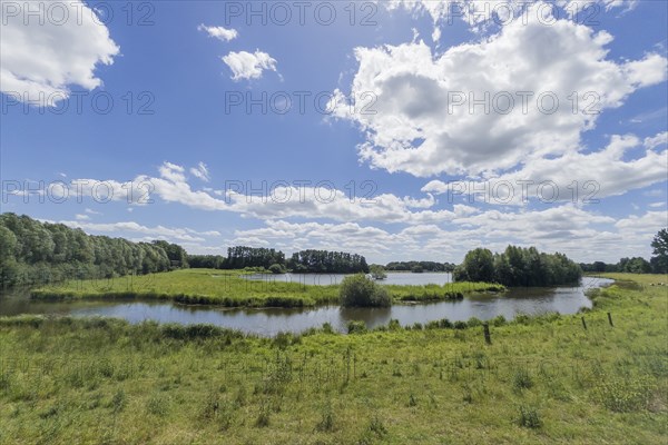 Steinhorst Basin, nature reserve, nature, Ems, tourism, landscape, Delbrücker Land, Steinhorst,
